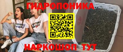 эйфоретик Аргун