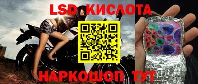 эйфоретик Аргун