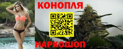 эйфоретик Аргун